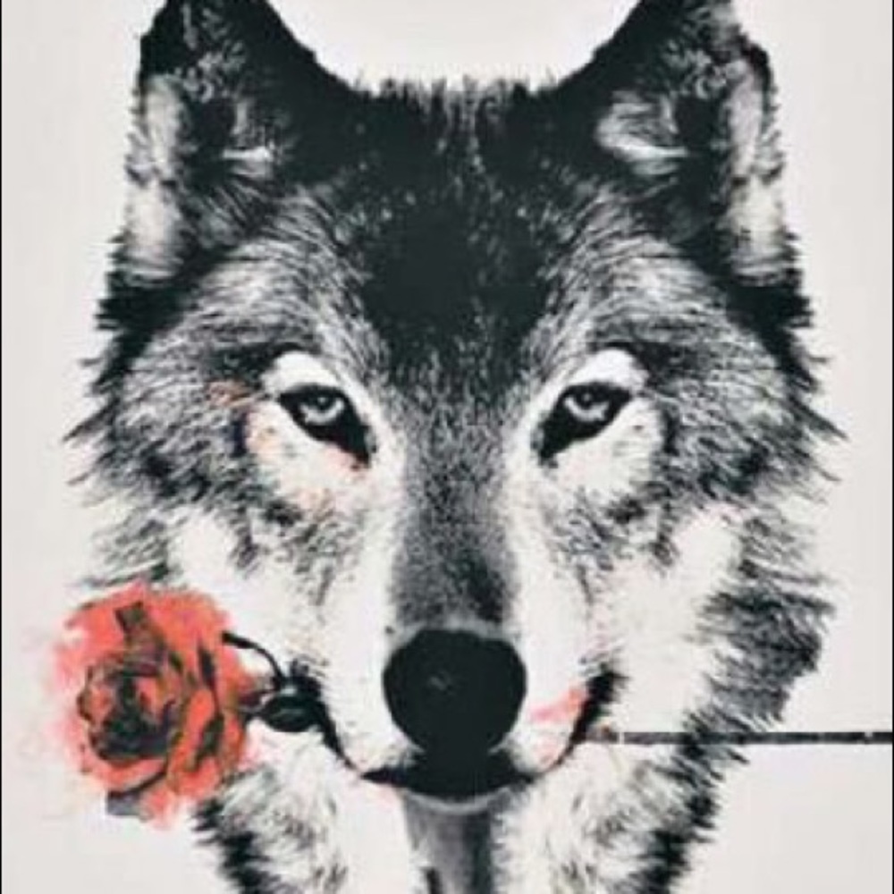 Meet your Posher, Sean